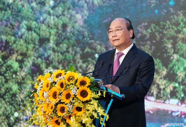 Thủ tướng yêu cầu: Không được bê tông hóa Phú Quốc - 1