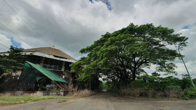 La liệt chung cư, biệt thự bỏ hoang ở Nhơn Trạch - 7