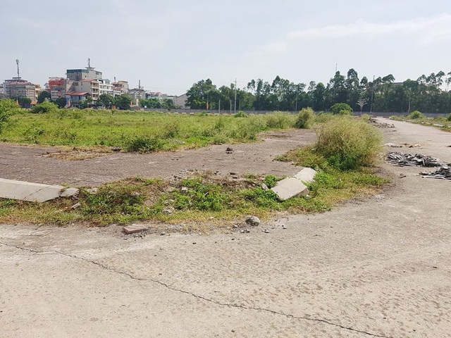 Bị hủy đấu giá, hơn 20ha “đất vàng” ở TP Ninh Bình tiếp tục bị bỏ hoang - 5