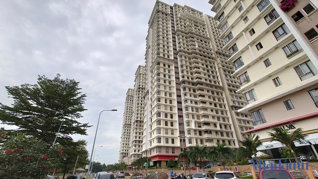 photo-1-1652945204135177005689